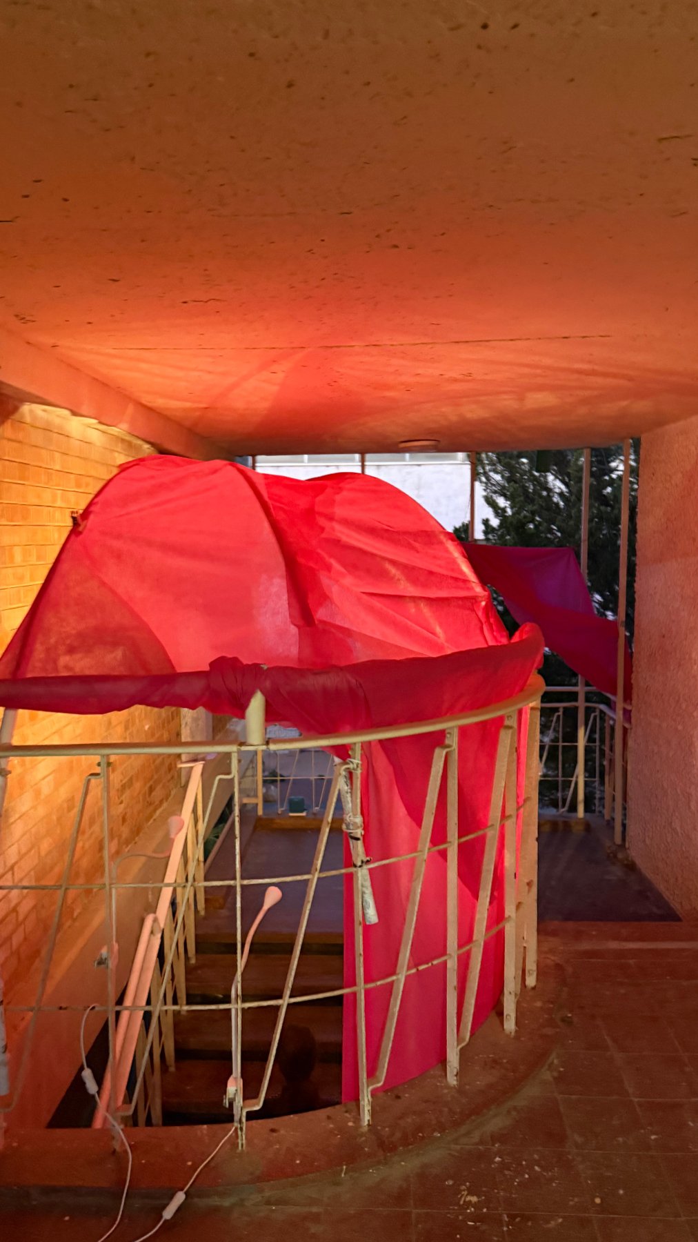 The Pink Elephant in the Room