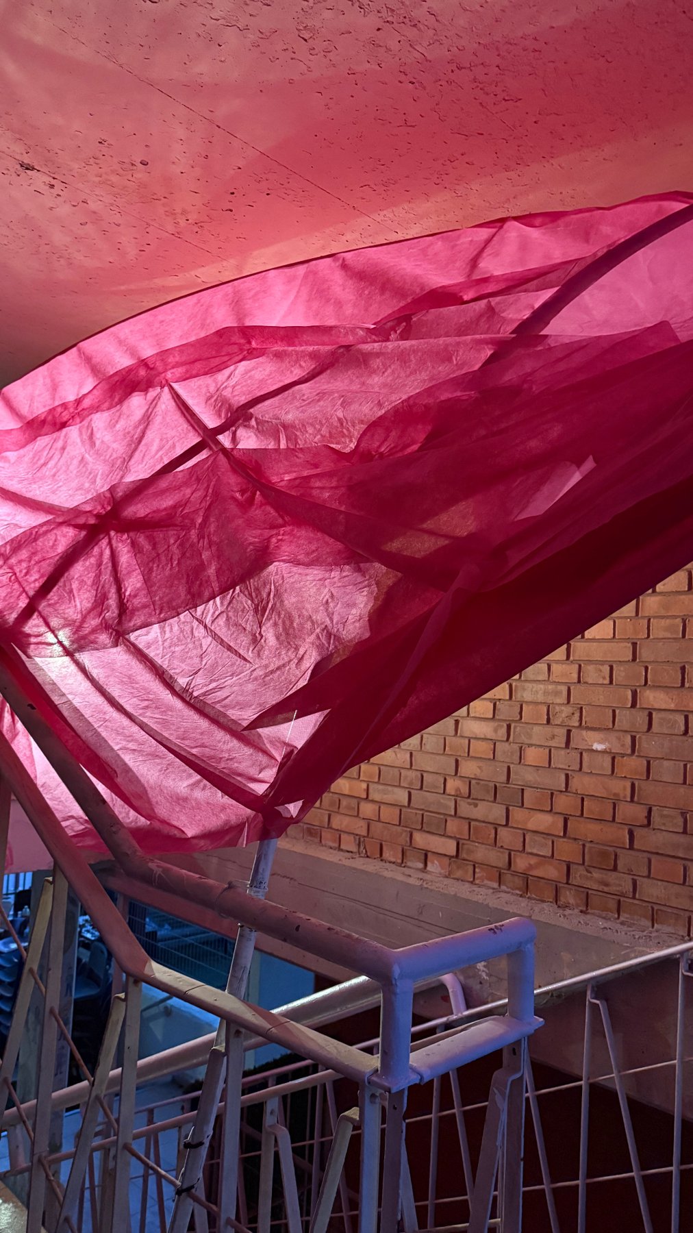 The Pink Elephant in the Room, view from above
